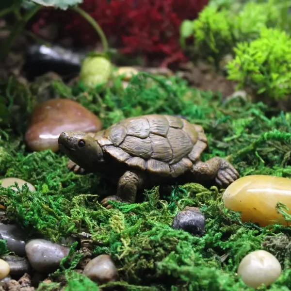 Deco Figurine tortue terrestre réaliste en résine sur mousse et galets pour terrarium.