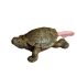 Figurine tortue terrestre réaliste en résine sur mousse et galets pour terrarium