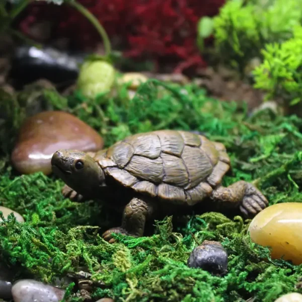 Figurine tortue terrestre réaliste en résine sur mousse et galets pour terrarium et aquarium