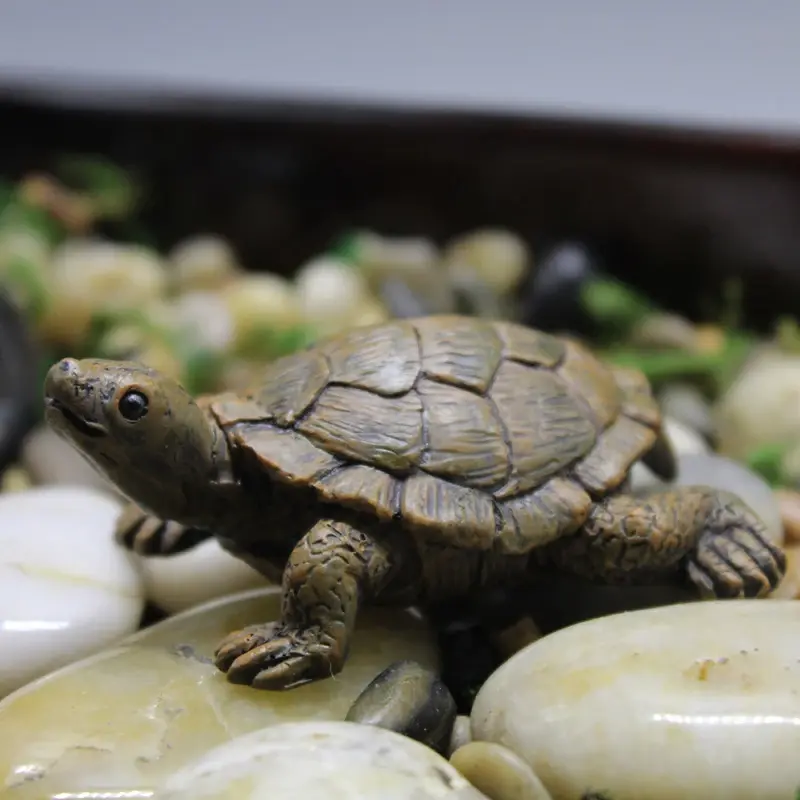 Figurine tortue terrestre réaliste