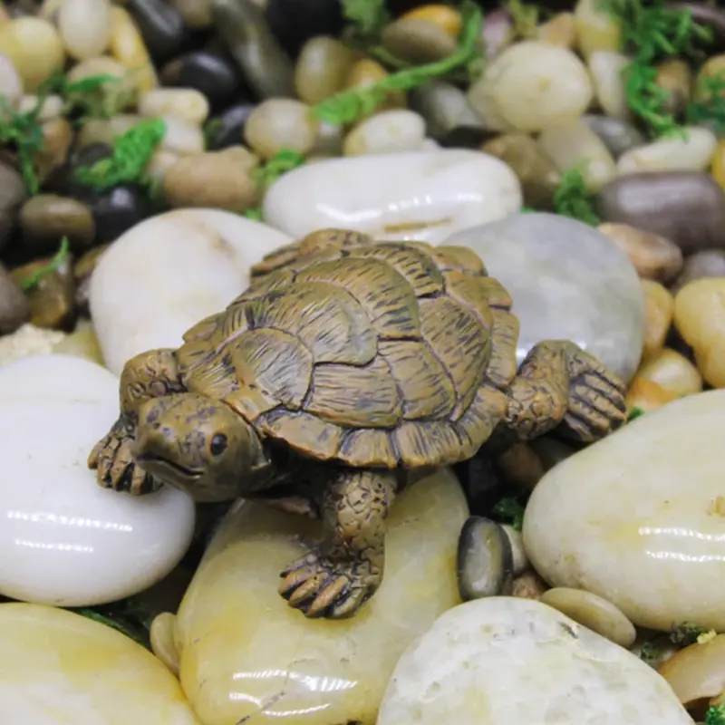 Figurine tortue terrestre réaliste en résine sur mousse et galets pour terrarium/aquarium