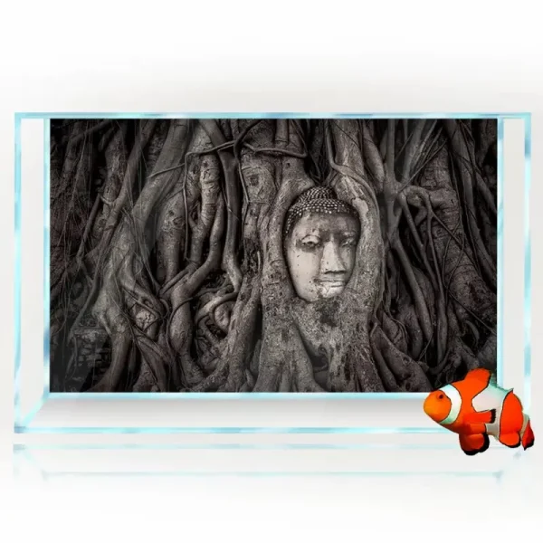 Affiche aquarium plastique 60x90cm visage Bouddha racines