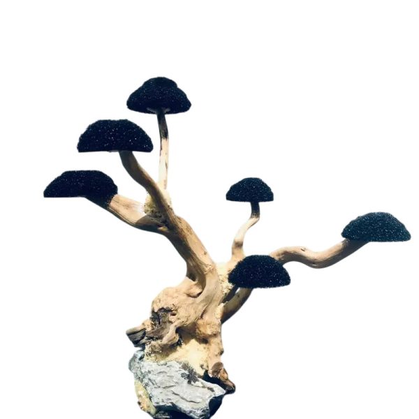 Arbre bonsaï aquatique en bois flotté avec cinq touffes de mousse verte en aquarium