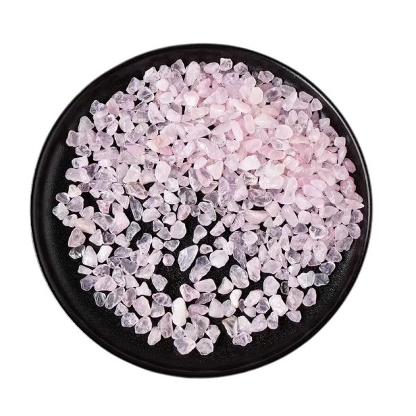 Décoration Aquarium Eau Douce