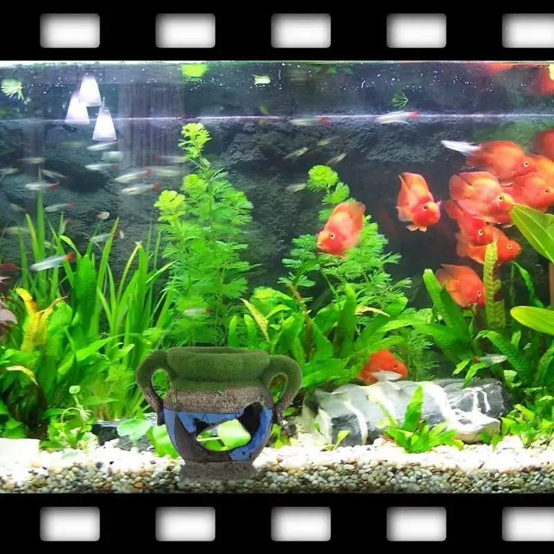 Décoration aquarium résine vase antique brisé avec mousse verte
