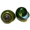 Coquillages escargots jade vert brillants, un spiralé, un ouvert avec intérieur bleu.