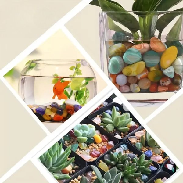 Pierres Naturelles Muticolores de 500g pour eau Douce et Aquatique