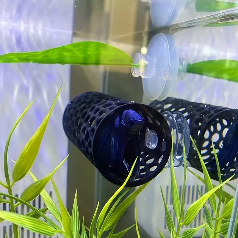 Déco Tunnel pour poisson noir perforé avec ventouses, Bettas en aquarium.